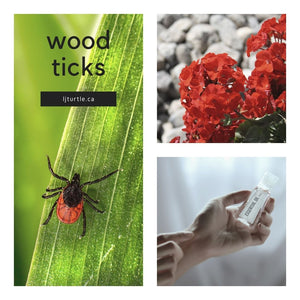 4 Essential Oils to Help You Avoid Wood Ticks and Stay Safe this Summer