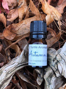 LJ Turtle Aromatherapy Flash Sale| Save 50% | Autumn Air | Fall Equinox Celebration