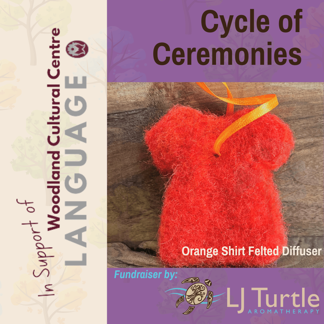 LJ Turtle Aromatherapy Fundraiser | Orange Shirt | Felted