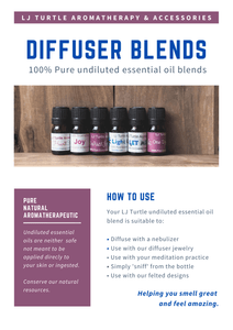 LJ Turtle Aromatherapy Lifestyle Blend | Undiluted Just For Today | Spiritual & Emotional Healing | Aromatherapy Diffuser Blend