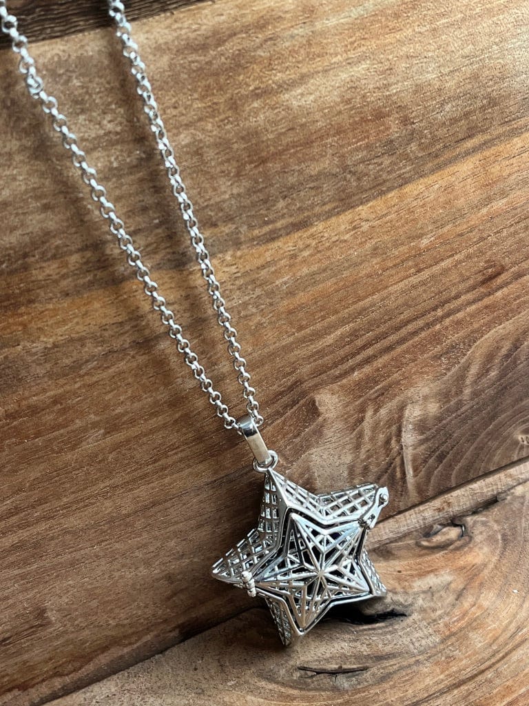 LJ Turtle Aromatherapy Pendant Star | Aromatherapy Diffuser Locket
